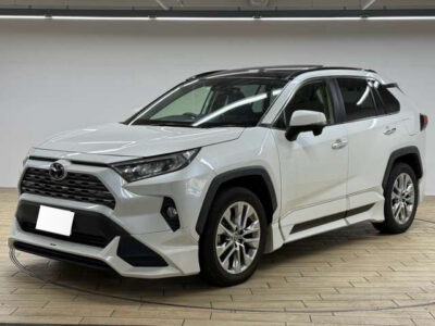 2020 Toyota Rav4 G Z Package