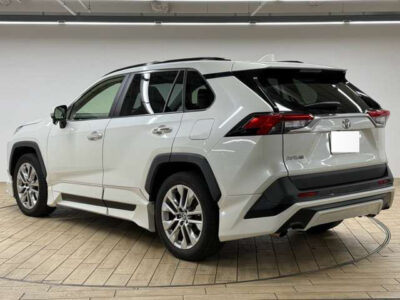 2020 Toyota Rav4 G Z Package