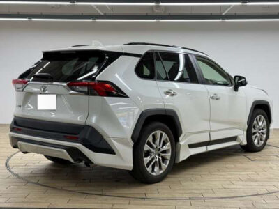 2020 Toyota Rav4 G Z Package