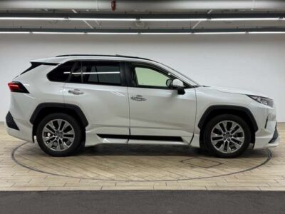 2020 Toyota Rav4 G Z Package