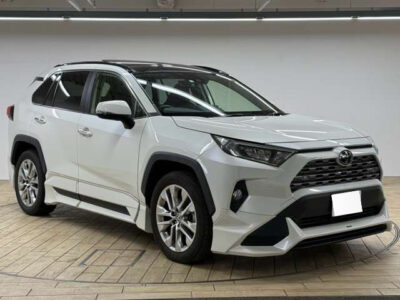 2020 Toyota Rav4 G Z Package