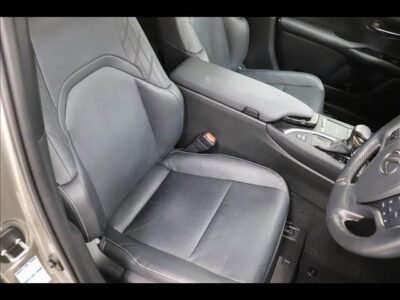 2019 LEXUS UX250h Version L
