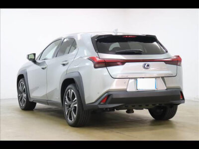 2019 LEXUS UX250h Version L