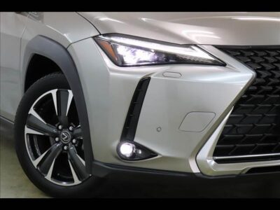 2019 LEXUS UX250h Version L