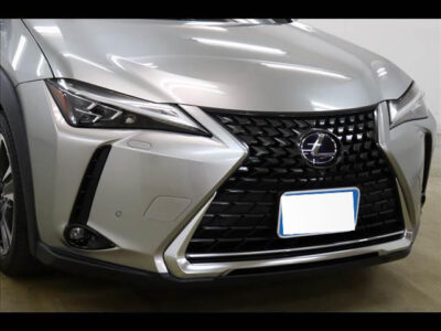 2019 LEXUS UX250h Version L