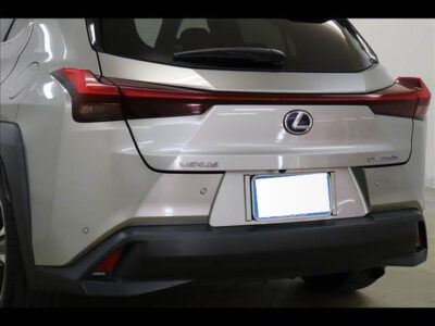 2019 LEXUS UX250h Version L