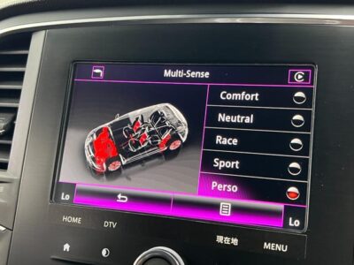 2018 RENAULT MEGANE SPORT