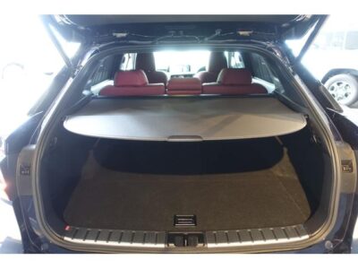 2018 LEXUS RX450h F Sport