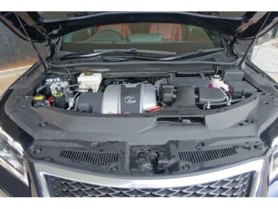 2018 LEXUS RX450h F Sport