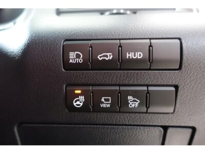 2018 LEXUS RX450h F Sport