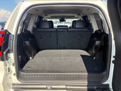 2020 Toyota Land Cruiser Prado TZ-G