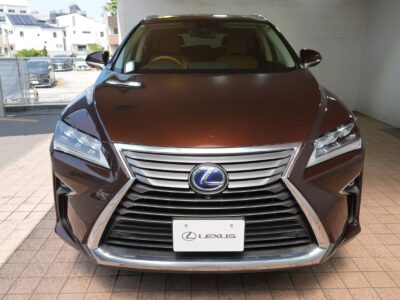 2019 LEXUS RX450hL (Rare Spec, 7-Seater)