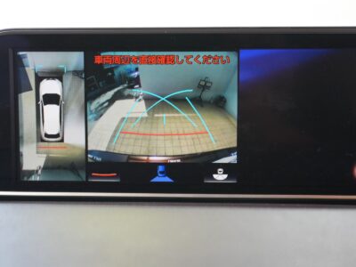 2019 LEXUS RX450hL (Rare Spec, 7-Seater)