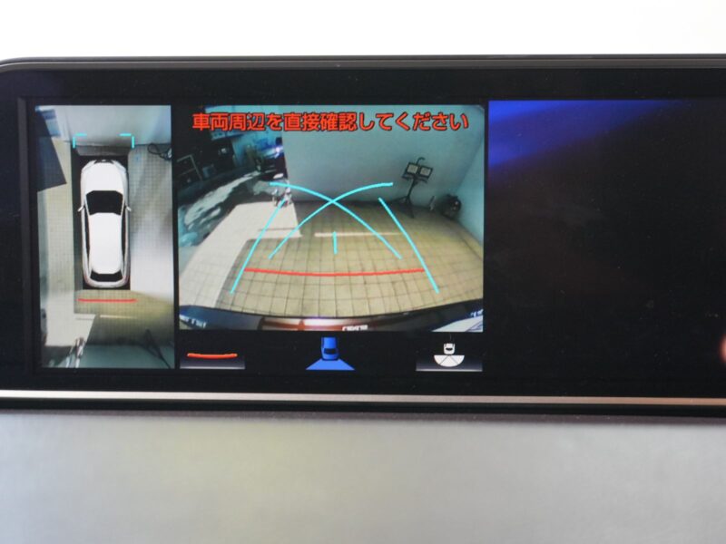 2019 LEXUS RX450hL (Rare Spec, 7-Seater)