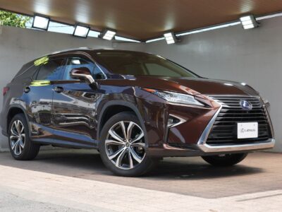2019 LEXUS RX450hL (Rare Spec, 7-Seater)