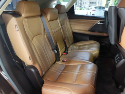 2019 LEXUS RX450hL (Rare Spec, 7-Seater)
