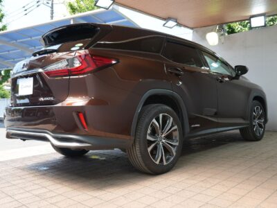2019 LEXUS RX450hL (Rare Spec, 7-Seater)
