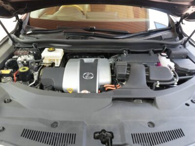 2019 LEXUS RX450hL (Rare Spec, 7-Seater)