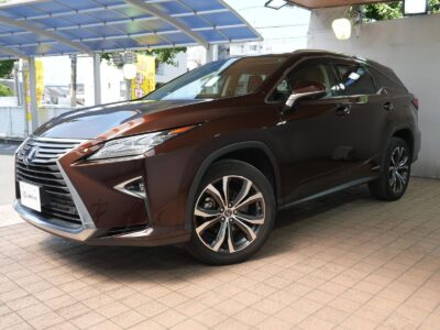 2019 LEXUS RX450hL (Rare Spec, 7-Seater)
