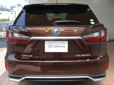 2019 LEXUS RX450hL (Rare Spec, 7-Seater)