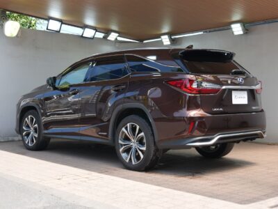 2019 LEXUS RX450hL (Rare Spec, 7-Seater)