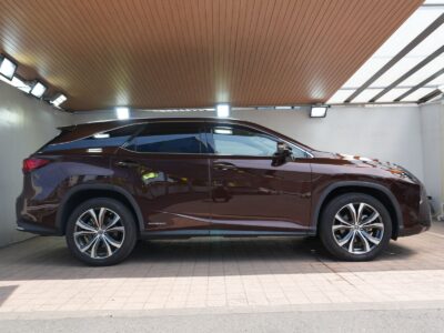 2019 LEXUS RX450hL (Rare Spec, 7-Seater)