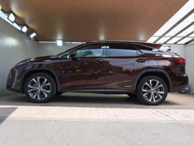 2019 LEXUS RX450hL (Rare Spec, 7-Seater)