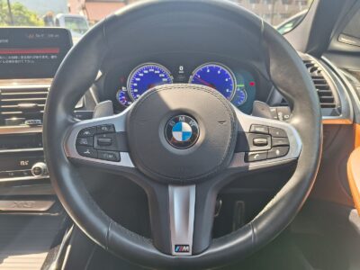 2019 BMW X3 xDrive 20d M Sport