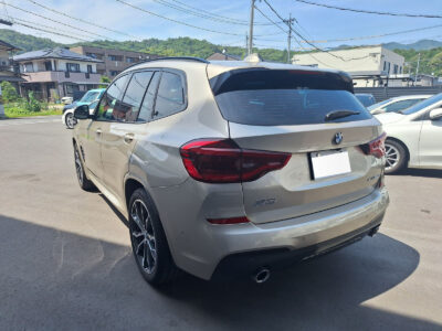 2019 BMW X3 xDrive 20d M Sport