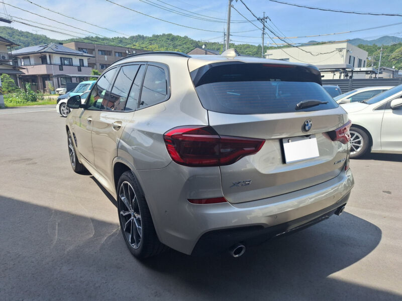 2019 BMW X3 xDrive 20d M Sport