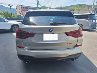 2019 BMW X3 xDrive 20d M Sport