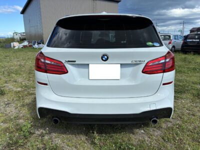 2019 BMW 225i xDrive M Sport Active Tourer