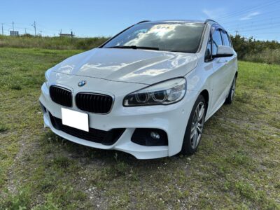 2019 BMW 225i xDrive M Sport Active Tourer