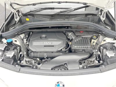 2019 BMW X2 xDrive 20i M Sport X