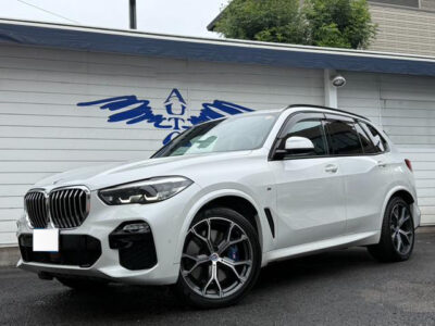 2019 BMW X5 xDrive 35d M Sport
