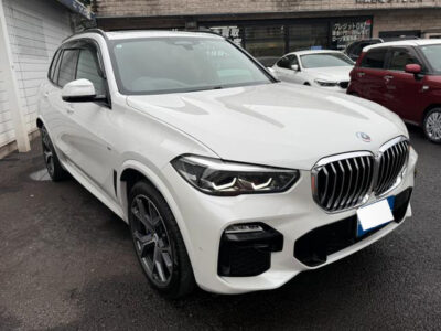 2019 BMW X5 xDrive 35d M Sport