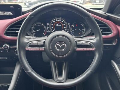 2019 Mazda3 Fastback 20S Burgundy Selection