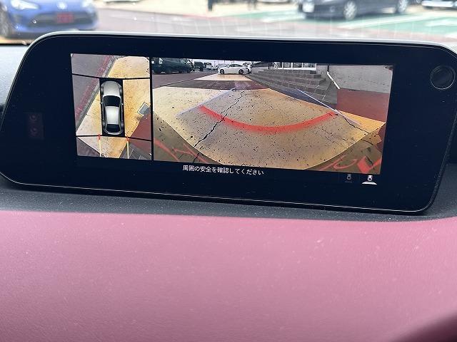 2019 Mazda3 Fastback 20S Burgundy Selection