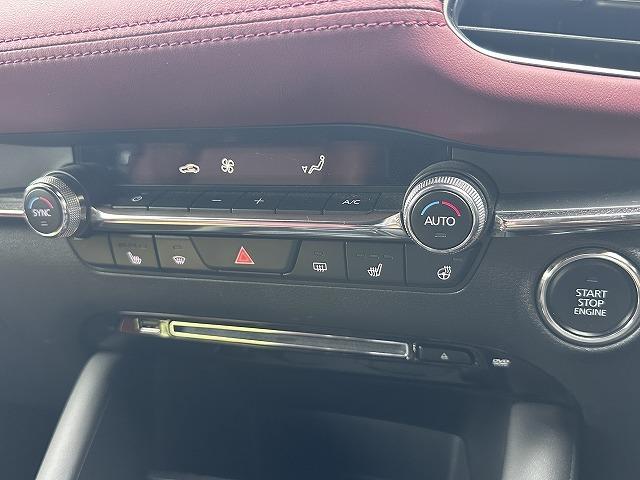 2019 Mazda3 Fastback 20S Burgundy Selection