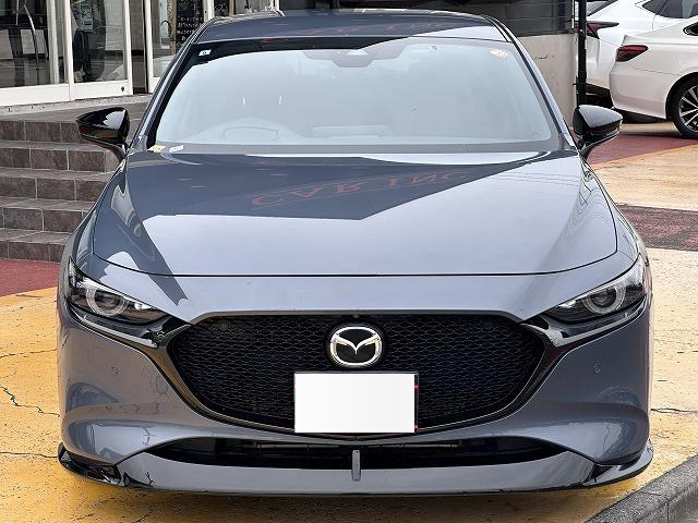 2019 Mazda3 Fastback 20S Burgundy Selection