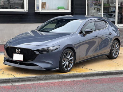 2019 Mazda3 Fastback 20S Burgundy Selection