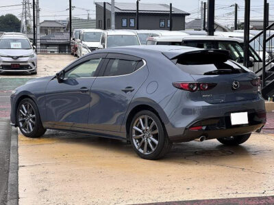 2019 Mazda3 Fastback 20S Burgundy Selection