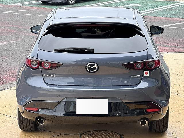 2019 Mazda3 Fastback 20S Burgundy Selection