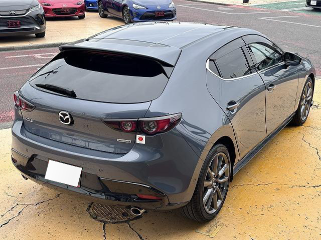 2019 Mazda3 Fastback 20S Burgundy Selection