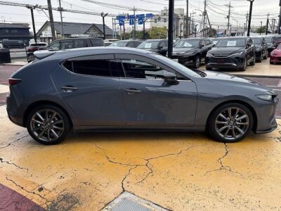 2019 Mazda3 Fastback 20S Burgundy Selection