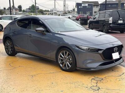 2019 Mazda3 Fastback 20S Burgundy Selection
