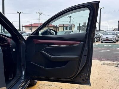 2019 Mazda3 Fastback 20S Burgundy Selection