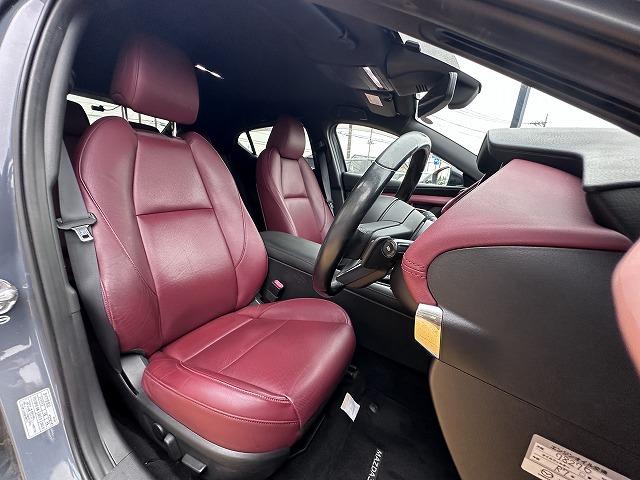 2019 Mazda3 Fastback 20S Burgundy Selection