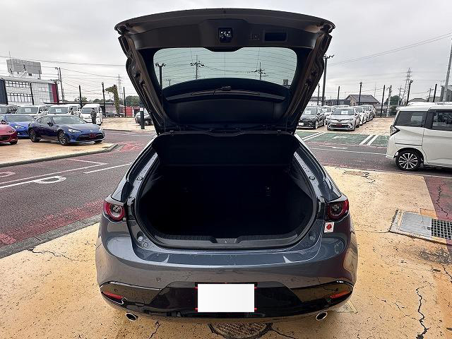 2019 Mazda3 Fastback 20S Burgundy Selection