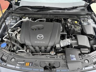 2019 Mazda3 Fastback 20S Burgundy Selection